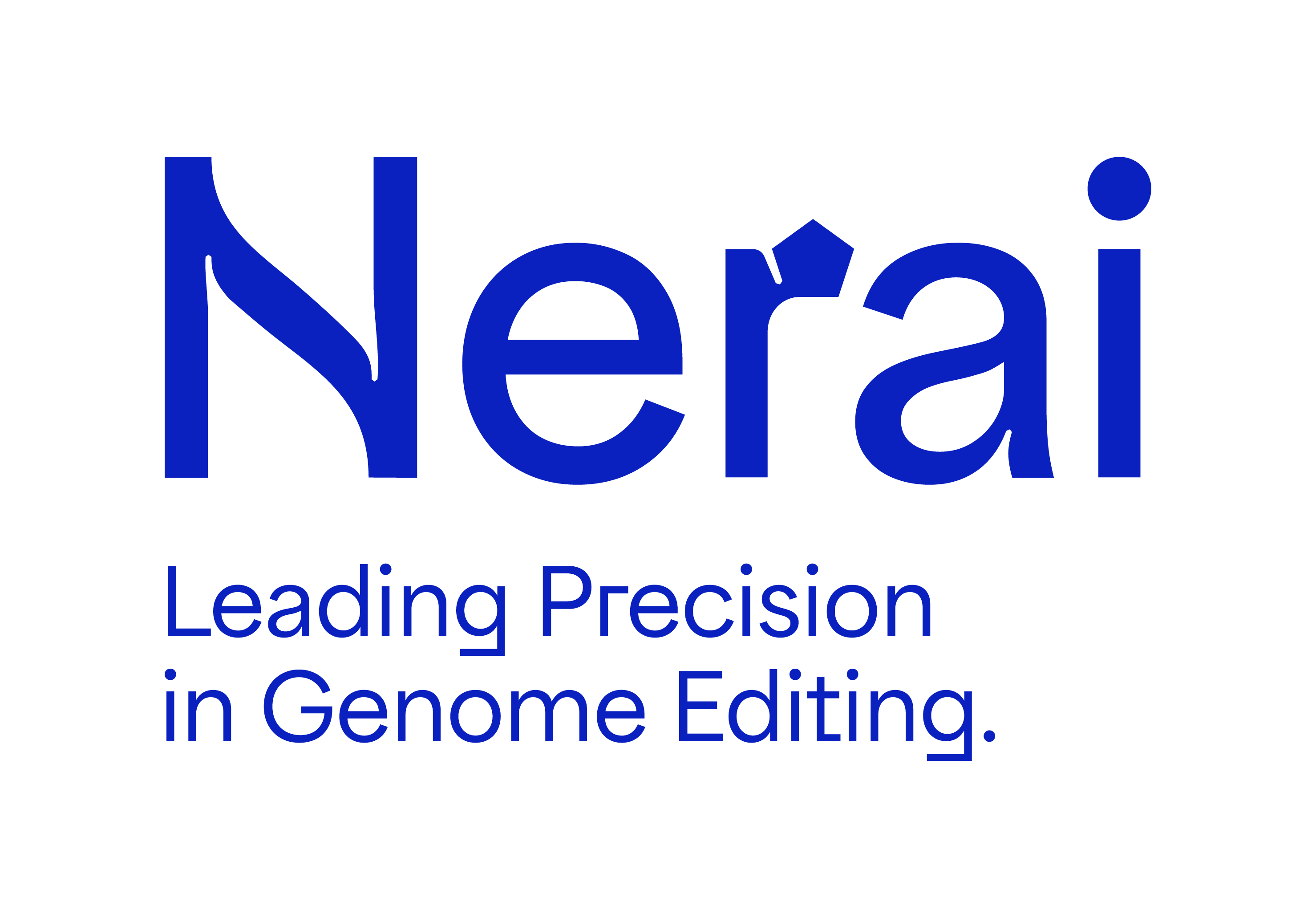 Nerai Logo